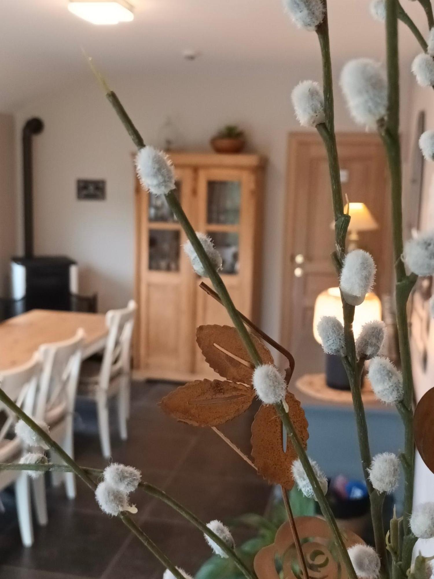 Le Relais De La Motte Bed & Breakfast Soignies Exterior photo